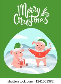 Merry Christmas lettering wishes and piglets with presents gift box and candy stick vector isolated on green. Cartoon pigs in hats wishing happy New Year