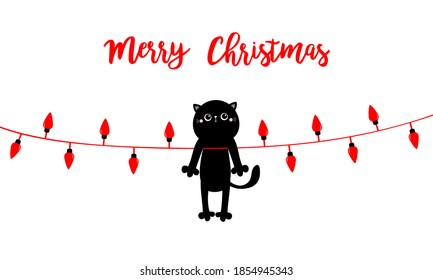 Merry Christmas lights. Cute cat in red Santa hat. Red lightbulb glowing garland. Colorful string fairy light set. Cone shape. Holiday festive xmas decoration. Flat design. White background. Vector