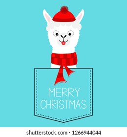 Merry Christmas. Llama alpaca sitting in the pocket. Red hat, scarf. Face with tongue. Cute cartoon character. Hello winter. Happy New Year. Blue background. Flat design. Vector illustration