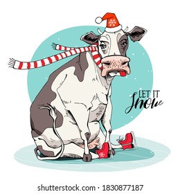 Merry Christmas and New year card. Sitting cow in the red scarf and Santa's hat and in the ice skates. Humor t-shirt composition, meme, hand drawn style print. Vector illustration.