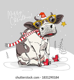 Merry Christmas and New year card. Sitting cow in the red scarf and Santa's hat and in the ice skates. Humor t-shirt composition, meme, hand drawn style print. Vector illustration.