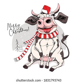 Merry Christmas and New year card. Sitting smiling cow in the red scarf and Santa's hat. Humor t-shirt composition, meme, hand drawn style print. Vector illustration.