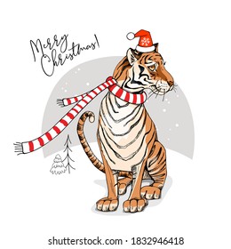 Merry Christmas and New year card. Sitting tiger in the red scarf and Santa's hat. Humor t-shirt composition, meme, hand drawn style print. Vector illustration.