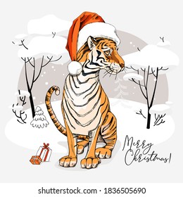 Merry Christmas and New year card. Sitting cute Tiger in the red Santa's cap with the gifts. T-shirt composition, hand drawn style print. Vector illustration.