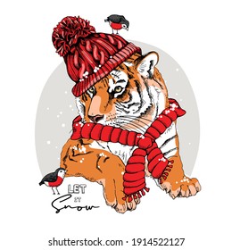 Merry Christmas and New year card. Tiger in the red scarf and knitted hat with the birds. T-shirt composition, hand drawn style print. Vector illustration.