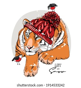 Merry Christmas and New year card. Tiger in the red knitted hat with the birds. T-shirt composition, hand drawn style print. Vector illustration.