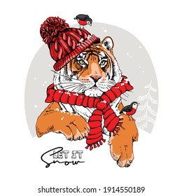 Merry Christmas and New year card. Tiger in the red scarf and knitted hat with the birds. T-shirt composition, hand drawn style print. Vector illustration.