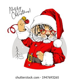 Merry Christmas and New year card. Tiger in the red Santa's costume with the bells. T-shirt composition, hand drawn style print. Vector illustration.