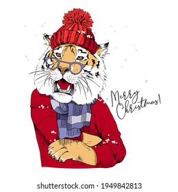 Merry Christmas and New year card. Tiger in the scarf and red knitted hat. T-shirt composition, hand drawn style print. Vector illustration.