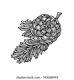 Merry Christmas and New Year set. Fir branch, pine cone. Vector illustration. The isolated image on a white background. Vintage style.