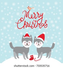 Merry Christmas New Year's card design funny gray husky dog in red hat, Kawaii face with large eyes and pink cheeks, boy and girl and white snowflakes on blue background. Vector illustration