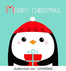 Merry Christmas. Penguin bird head face holding gift box. Red hat. Happy New Year. Cute cartoon kawaii baby character. Funny animal. Flat design. Hello winter. Blue background. Vector illustration