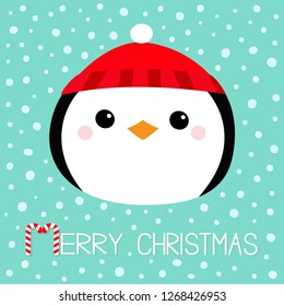 Merry Christmas. Penguin round head face icon. Red hat. Happy New Year. Cute cartoon kawaii baby character. Arctic animal. Flat design. Hello winter. Blue snow background. Vector illustration