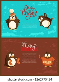 Merry Christmas penguin wearing hats and sweaters with pine tree print vector. Animal drinking tea, cup with hot beverage, knitted socks accessories
