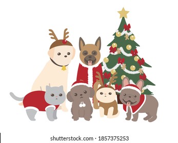 Merry Christmas. pets. dog and cat.