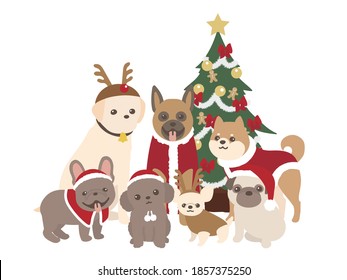 Merry Christmas. pets. dogs. looking at the camera.
