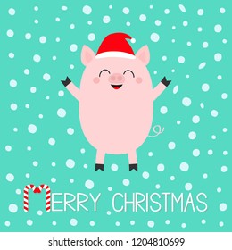 Merry Christmas. Pig piglet. Cute cartoon funny baby character. Hog swine sow animal. Santa hat. Chinise symbol of 2019 new year. Zodiac sign. Flat design. White background. Snow flake. Vector