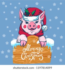 merry Christmas, pig in Santa's hat and scarf with wooden sign, snowflakes, vector
