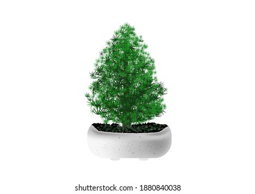 
Merry christmas pine tree in mable pot vector on white background