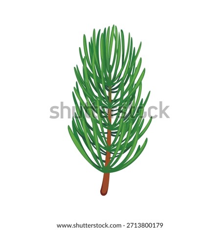 Merry Christmas pine tree twig cartoon decoration. Xmas holiday pine tree twig, winter festive isolated vector element. Happy New Year, Christmas celebration fir or spruce tree branch decoration