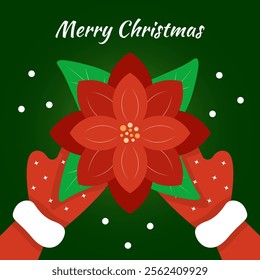Merry Christmas Poinsettia and Mittens. Festive illustration of red poinsettia flower held by gloved hands with "Merry Christmas" text on green background