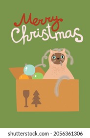 Merry Christmas postcard with a funny cat. Kittie sitting in a box. Simple cute illustration, green, white and red. Happy New Year decoration, greeting card, print, banner, poster, t-shirt. Grumpy.