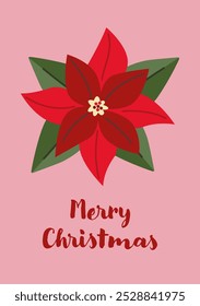 Merry Christmas Postcard. Red poinsettia flower. Winter plant on pink background. Christmas floral illustration. 