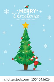 merry christmas poster with pine tree vector illustration design