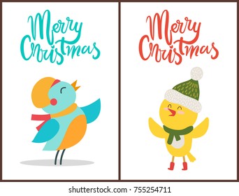 Merry Christmas posters congratulation from birds dressed in warm scarf and knitted hat. Vector illustration with congrats from animals on white background