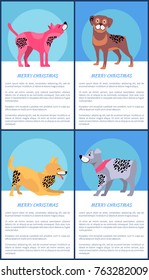 Merry Christmas posters with dogs. American hairless terrier, funny rottweiler, funny foxterrier and German wirehaired pointer vector illustrations.