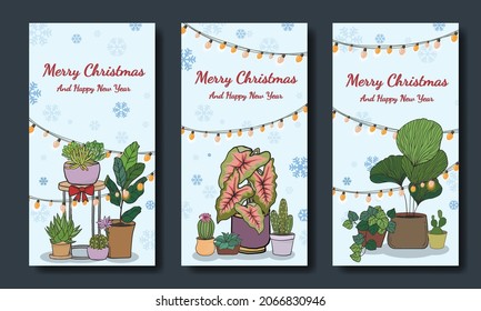 Feliz Navidad con vectores de plantas Potted, juego de carteles de tarjetas de felicitación. Imagen plana vectorial.