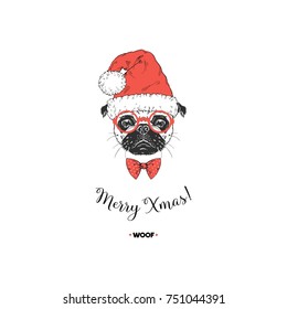 Merry Christmas Pug dog portrait