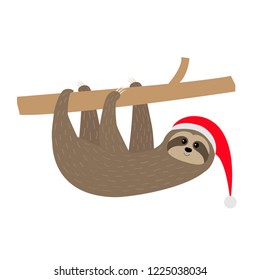 Merry Christmas. Sloth sitting hanging on branch. Santa hat. Face and hands. Cute cartoon character. Hello winter. Happy New Year. Baby animal. Slow down White background. Isolated. Flat design Vector