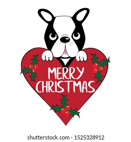 Merry Christmas text, and Boston Terrier with big heart. Perfect for posters, greeting cards, textiles, and gifts.