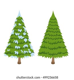 Merry Christmas tree sign on white background. Pine sign. Vector Illustration.