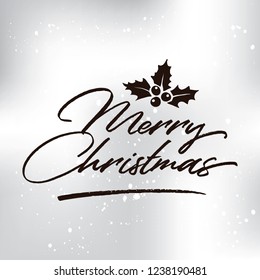 Merry Christmas typography.