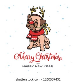 Merry Christmas typography with cute pug dog with reindeer horns and red nose. Vector illustration.