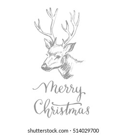 Merry christmas vector card. Calligraphy brush.