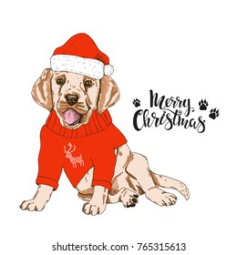 Merry Christmas vector funny card.Hand drawn dog.