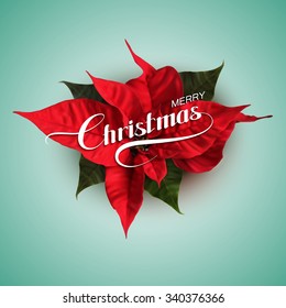 Merry Christmas. Vector Holiday Illustration With Lettering Label And Poinsettia Flowers