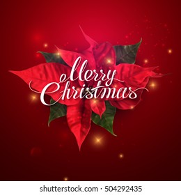 Merry Christmas. Vector Holiday Illustration Of Lettering Label, Stars, Sparkles And Red Christmas Poinsettia Flowers