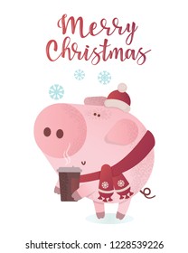 Merry Christmas vector illustration. Cute pig in a winter scarf. Greeting illustration. Symbol of winter holidays. Zodiac sign. Perfect for calendar and celebration card.