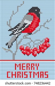 Merry Christmas. Vector knitted pattern with lettering Merry Christmas. Bullfinch on the branch. Nativity and New Year's elements for greeting card template.