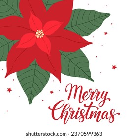 Merry Christmas, vector winter illustration. Poinsettia flower on a white background for the design of a greeting card, invitation.