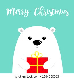 Merry Christmas. White polar bear cub face holding gift box present. Happy New Year. Arctic animal. Cute cartoon baby character. Flat design Hello winter. Blue background. Vector