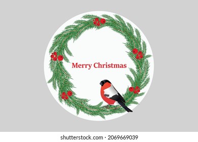 Merry Christmas wreath with a bird. Spruce wreath. Coniferous branches. Bullfinch. Pine. Christmas card template. Winter, New Year holiday decoration. Christmas background.