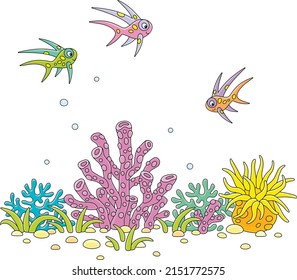 Merry colorful fishes   tropical corals reef in southern sea  vector cartoon illustrations isolated white background