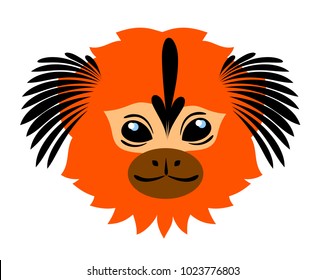 Merry and cute monkey marmoset