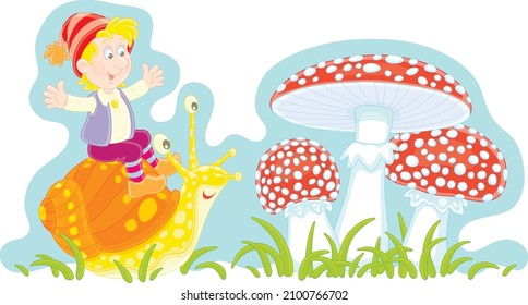 Merry little boy riding on a funny garden snail and big red fly agarics among green grass on a forest glade, vector cartoon illustration isolated on a white background