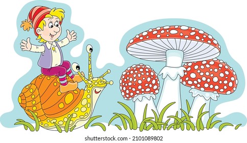 Merry little boy riding on a funny garden snail and big red fly agarics among green grass on a forest glade, vector cartoon illustration isolated on a white background